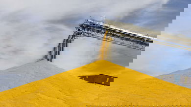 grain cargo