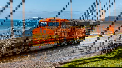 A photograph of a train running along next to a beach. There are palm tree trunks and the ocean behind the train.