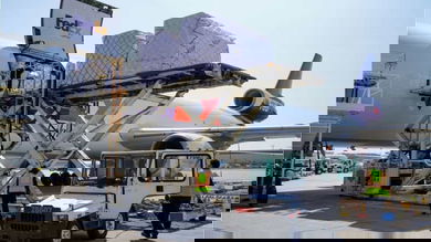 A FedEx plane gets unloaded.