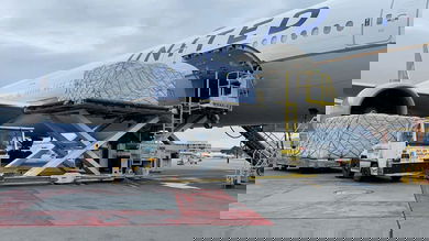 A big white jet gets loaded with pallets of cargo.