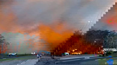 Wildfire burning in Walton County, Florida on May 6, 2019.