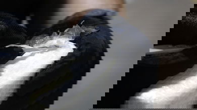 cocaine