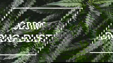 Marijuana leaves illustrate a recent $20 marijuana bust at the Canada-U.S. border