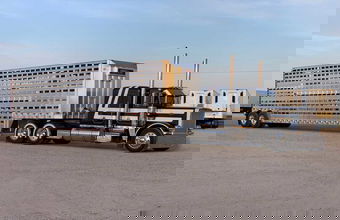 Livestock hauler