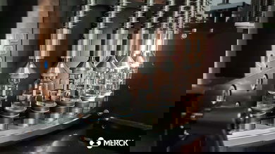 Visual inspection of vaccine vials at a Merck production facility. (Photo: Copyright © 2009-2020 Merck Sharp & Dohme Corp., a subsidiary of Merck & Co. Inc., Kenilworth, New Jersey, U.S.A. All rights reserved.)