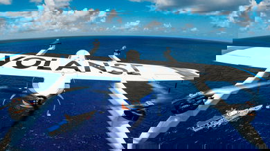 Drone Disruptors: Volansi's autonomous drone ecosystem can make deliveries just about anywhere with the click of a button