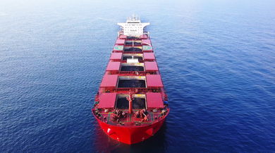 dry bulk shipping