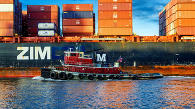 container line shipping Zim