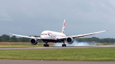 A large jetliner touches down on runway with smoke appearing from tires.