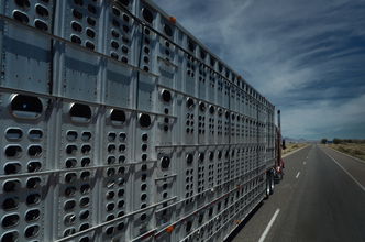 livestock truck