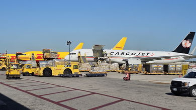 Yellow DHL cargo jets and a Cargojet with blue tail are parked at an airport terminal on a sunny day.
